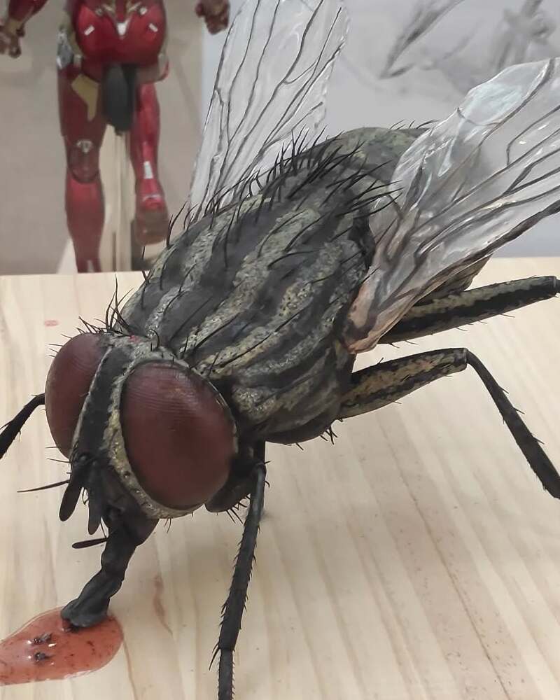 mosca (1)